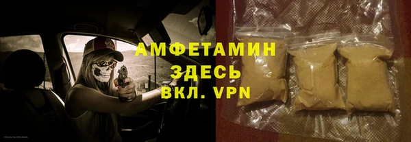 гашик Алексеевка