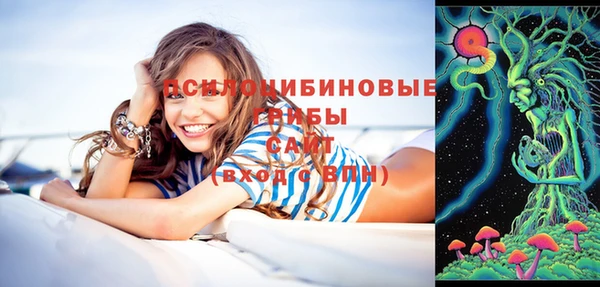 гашик Алексеевка