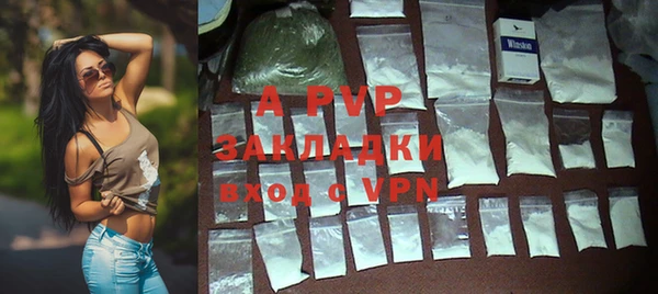 apvp Алексин