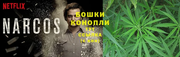 гашик Алексеевка