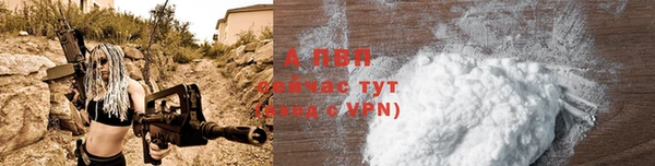 apvp Алексин