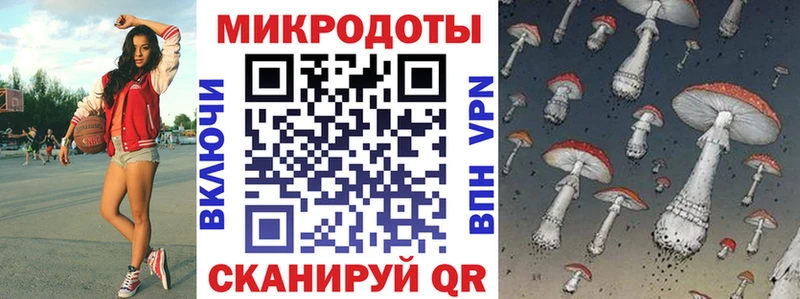 Купить  Тында  Псилоцибиновые грибы прущие грибы 