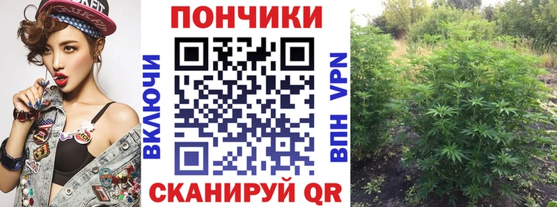 Купить закладки Тында Каннабис MAZAR